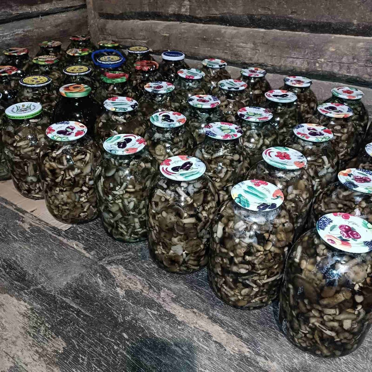 Чорниця якість